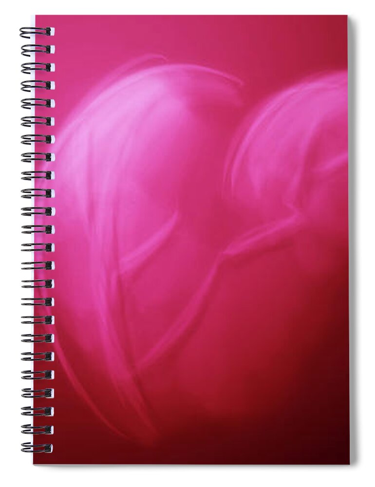 Heart Spiral Notebook featuring the digital art Art - Take This Heart by Matthias Zegveld