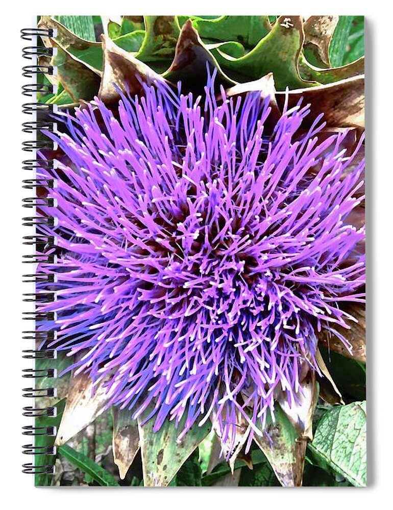 Flower Spiral Notebook featuring the photograph Artichoke flower by Stephanie Moore