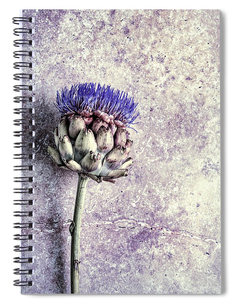 Artichoke Spiral Notebook featuring the photograph Artichoke in Bloom by Susan Maxwell Schmidt