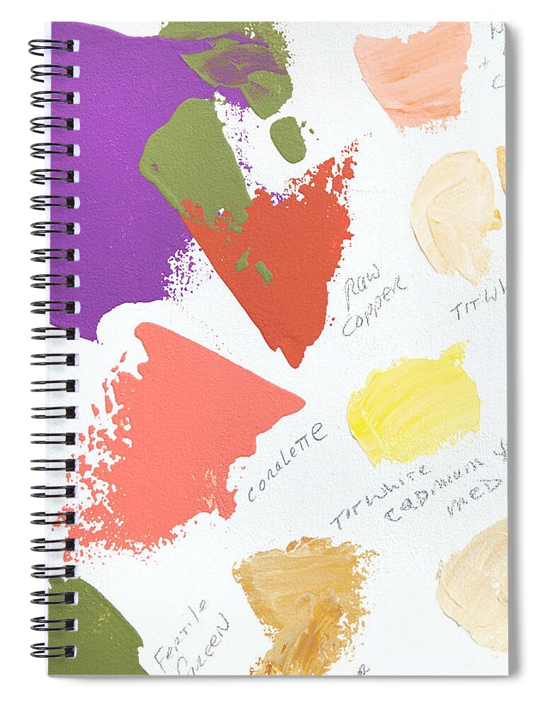 Face Mask Spiral Notebook featuring the photograph Artist Paint Splotch by Theresa Tahara