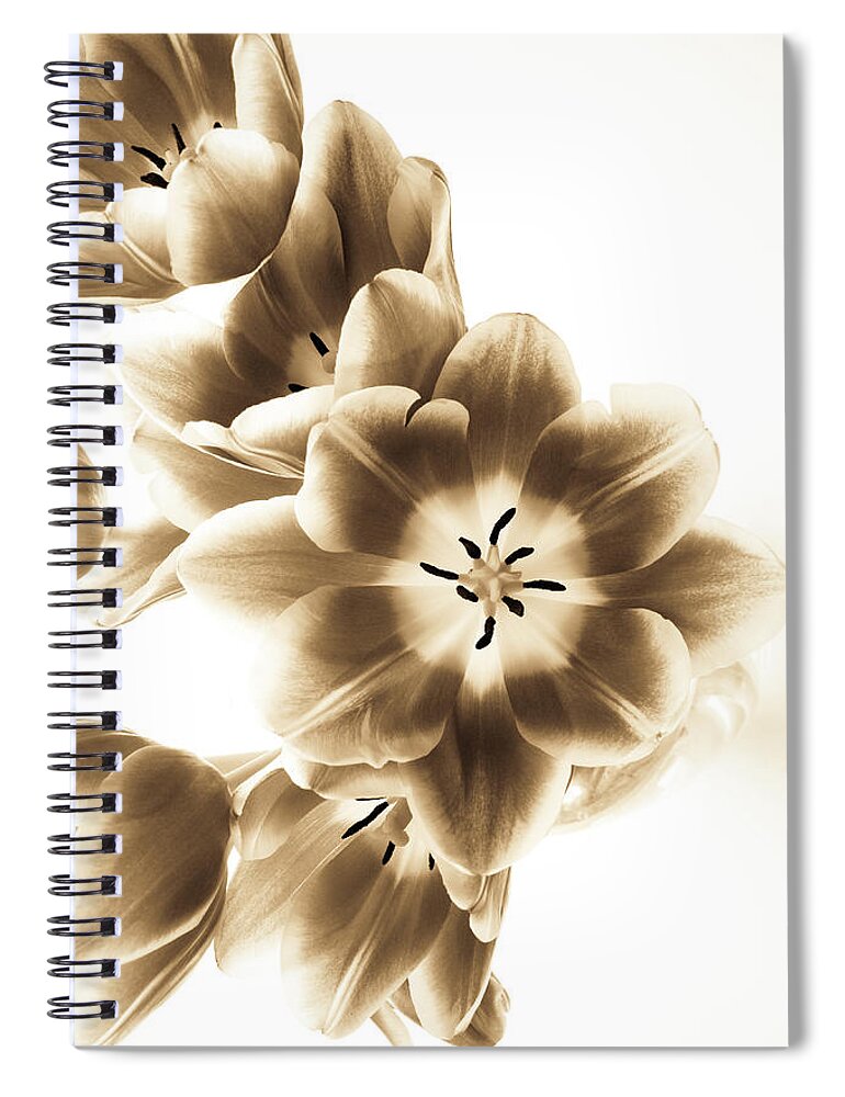 Tulips Spiral Notebook featuring the photograph Floral Delight by Anita Oakley