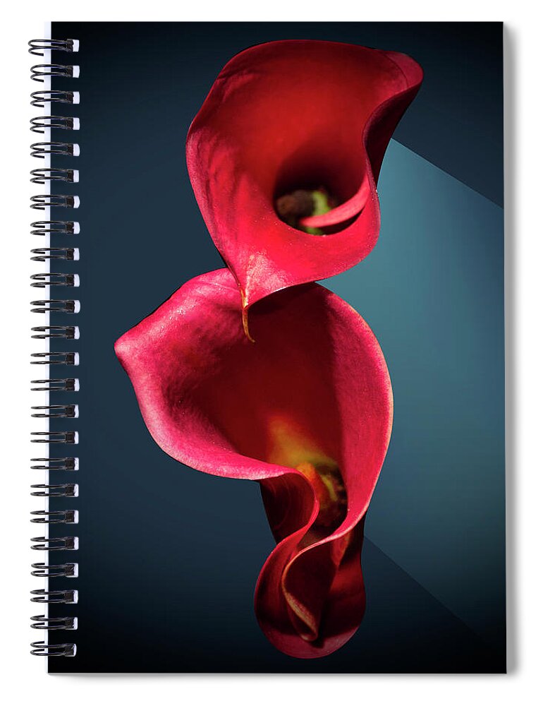 Calla Lily Spiral Notebook featuring the photograph Exotic Red Calla Flowers by Mark Ashkenazi