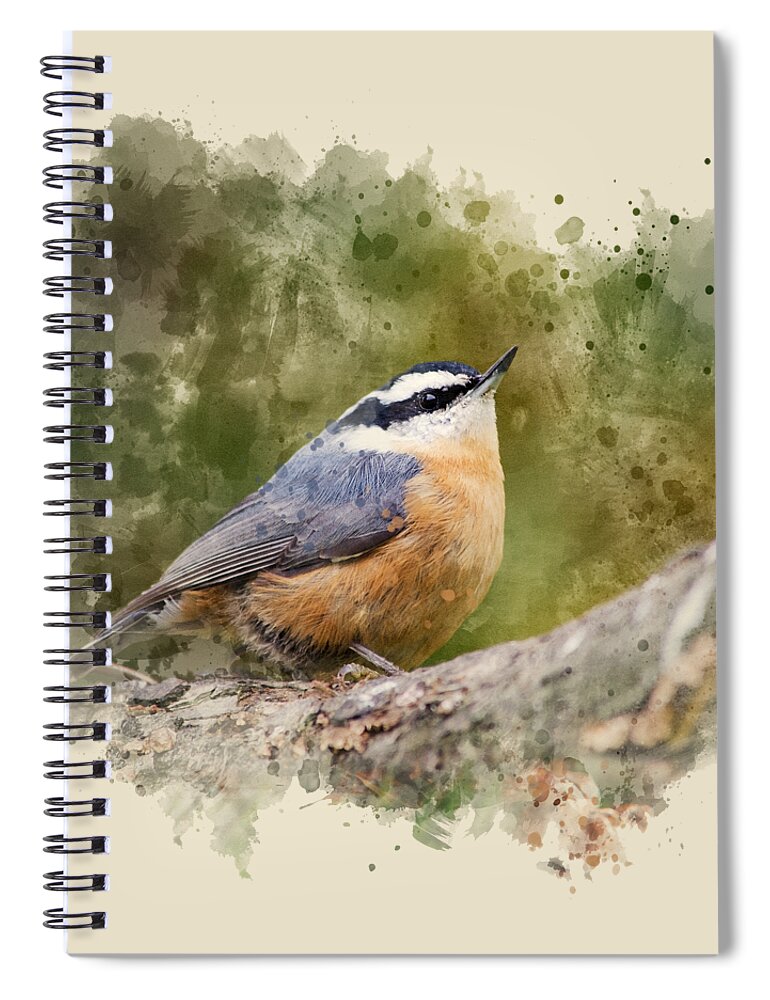 Nuthatch Spiral Notebook featuring the mixed media Nuthatch Watercolor Art by Christina Rollo