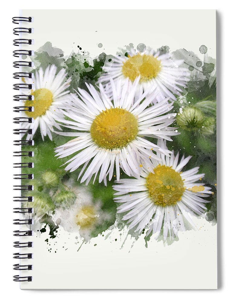 Daisy Spiral Notebook featuring the mixed media Daisy Watercolor Flowers by Christina Rollo