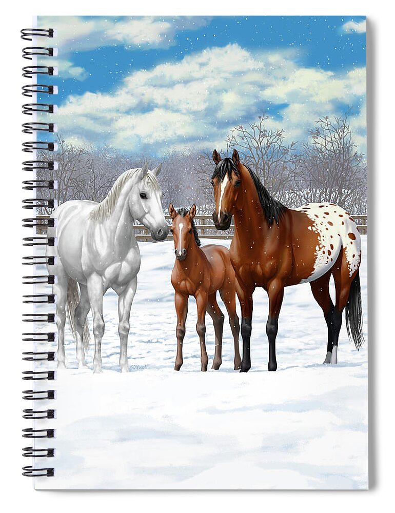 Appaloosa Horses - 5D Diamond Painting 