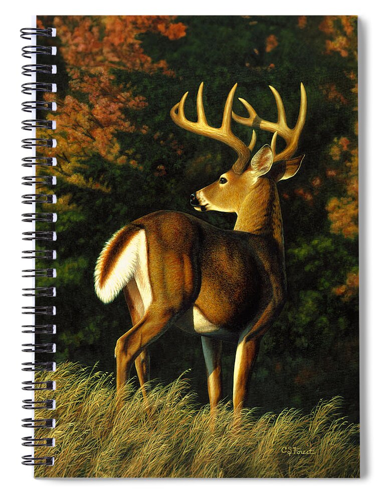 Deer Spiral Notebook featuring the painting Whitetail Buck - Indecision by Crista Forest