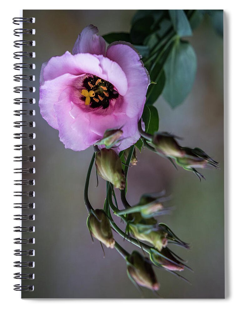 Flower Spiral Notebook featuring the photograph Pink Lisianthus Spray by Patti Deters