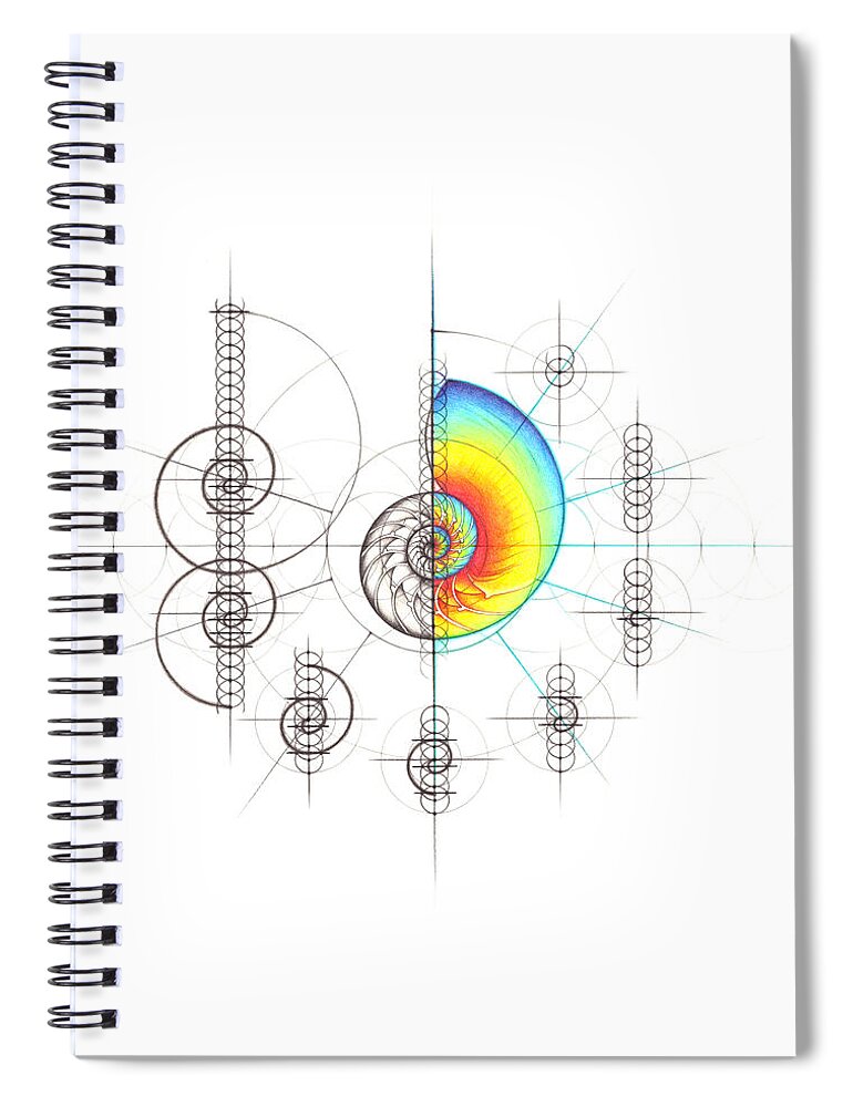 Nautilus Shell Spiral Notebook featuring the drawing Intuitive Geometry Nautilus Shell with steps by Nathalie Strassburg