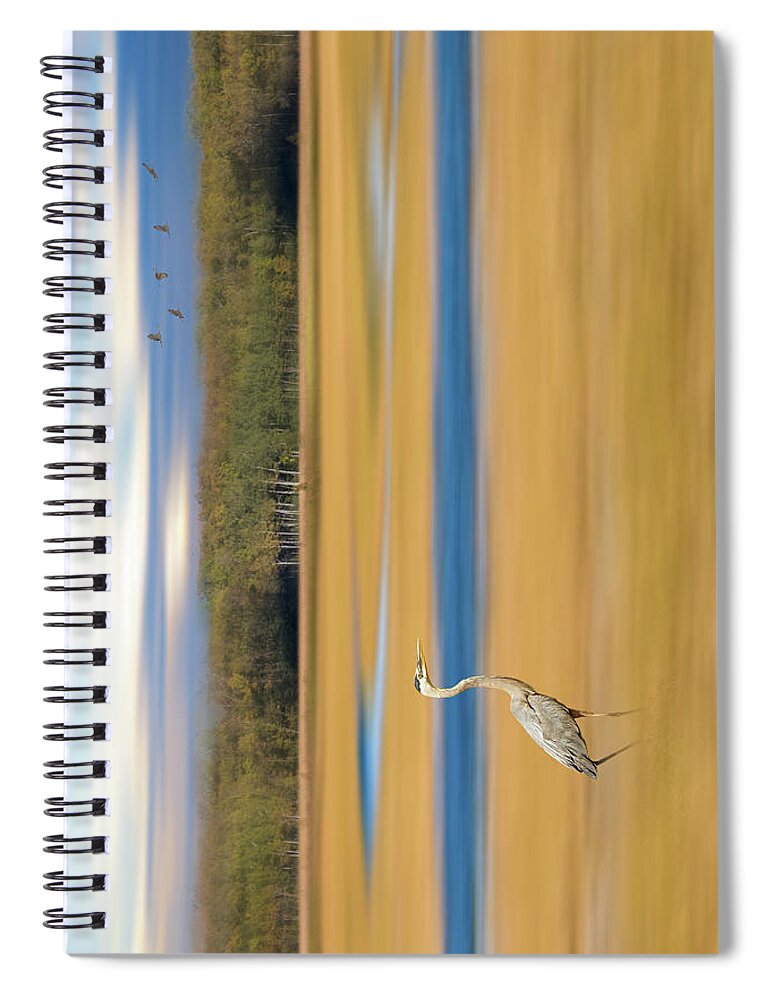 Birds Spiral Notebook featuring the photograph Great Blue Heron Dreamy Marsh by Patti Deters
