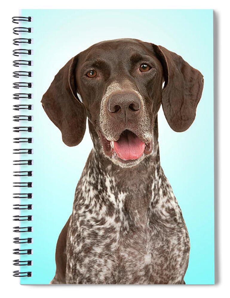 Dog Dogs Doggie Art German Shorthaired Pointer Gsp Fine Art Photography  Spiral Notebook featuring the photograph GSP Joy by Renee Spade Photography