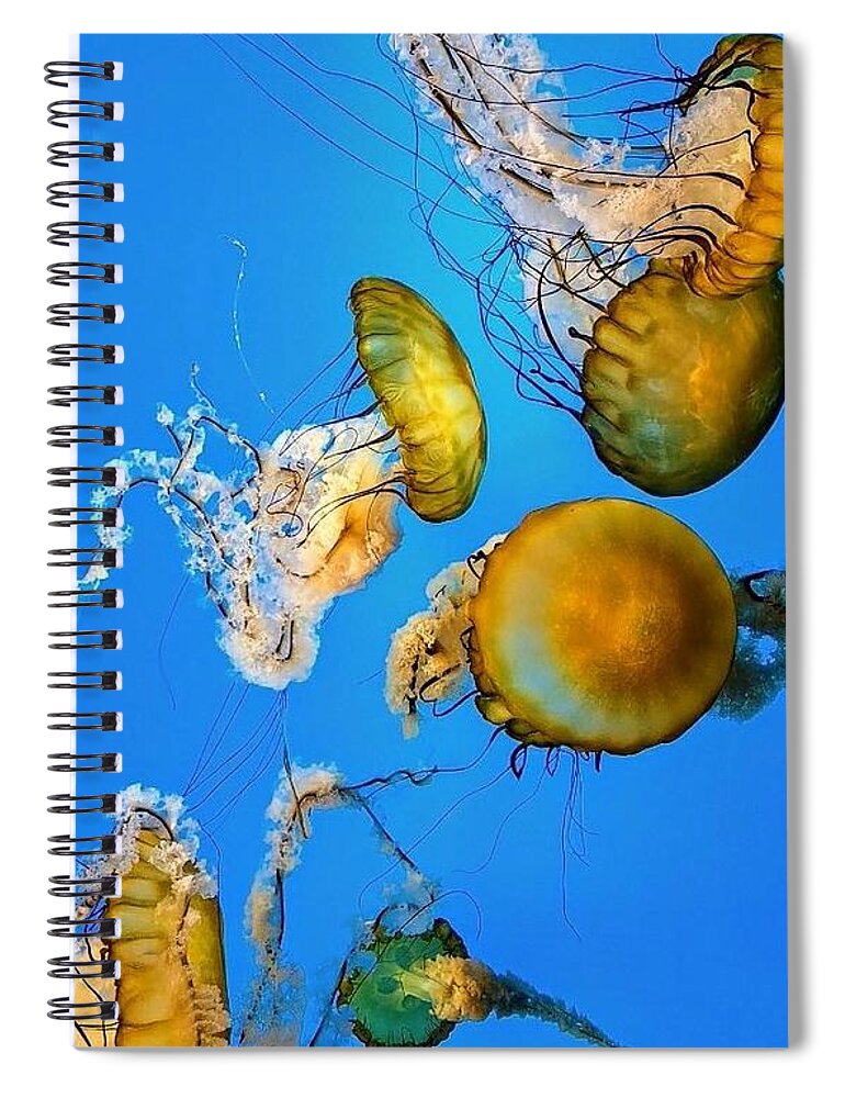 Jellyfish Spiral Notebook featuring the pyrography Jellies 2 by Elena Pratt