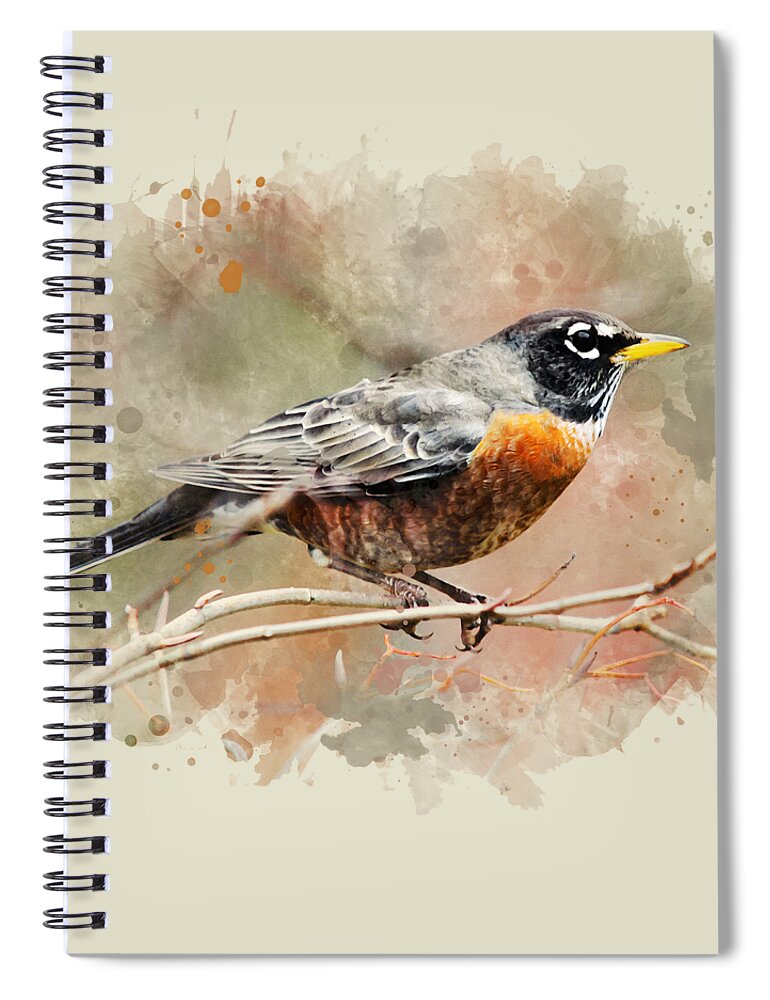 American Robin Spiral Notebook featuring the mixed media American Robin - Watercolor Art by Christina Rollo