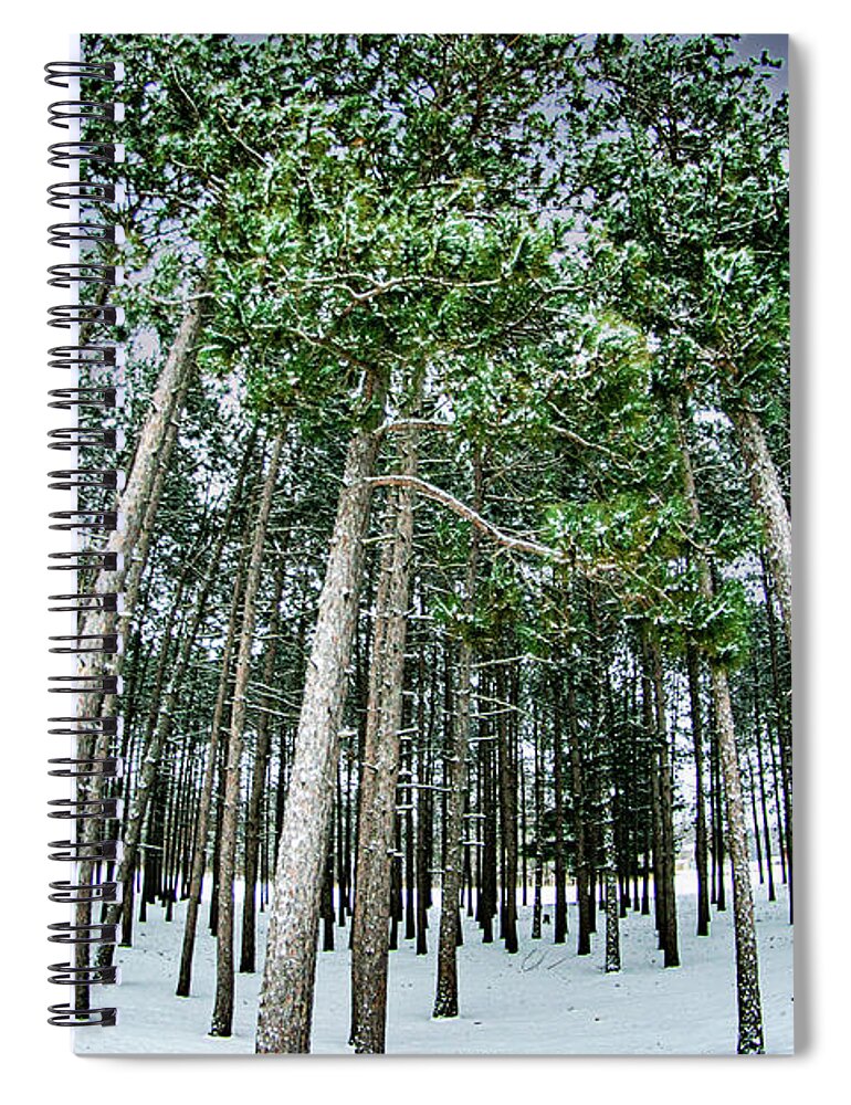Trees Spiral Notebook featuring the photograph Ascender 1 by Phil S Addis