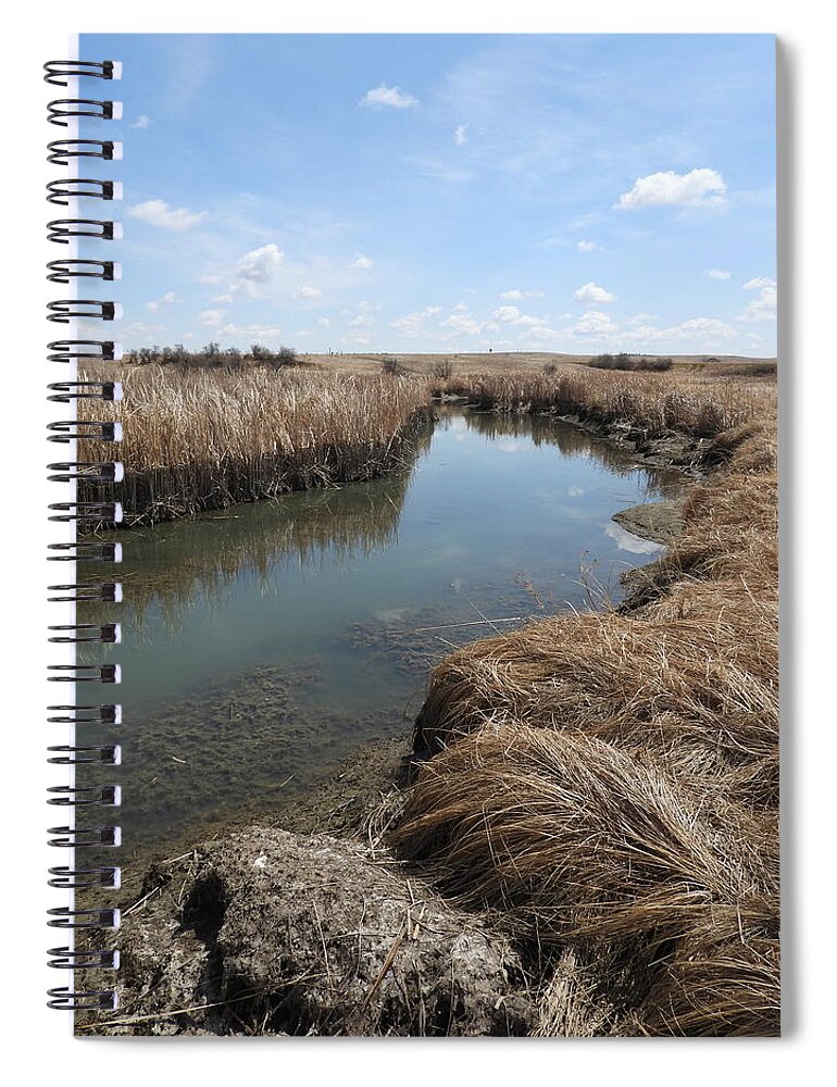 Creek Spiral Notebook featuring the photograph Ash Creek by Amanda R Wright