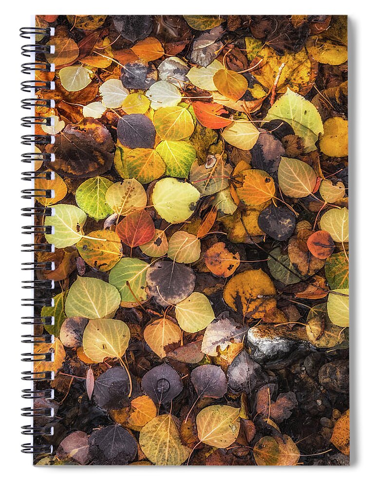 Aspen Spiral Notebook featuring the photograph Aspen Mosaic by Laura Roberts