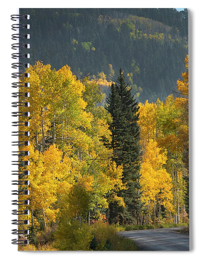 Aspen Spiral Notebook featuring the photograph Aspen near Pagosa Springs-2 by Mark Langford