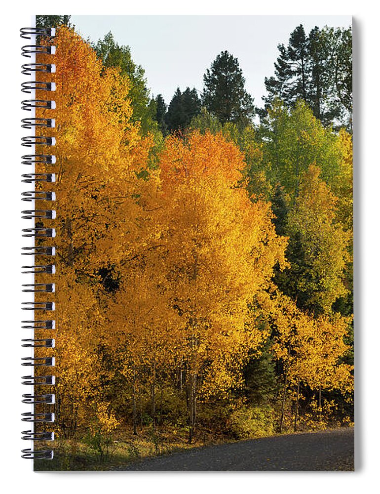 Aspen Spiral Notebook featuring the photograph Aspen near Pagosa Springs-5 by Mark Langford