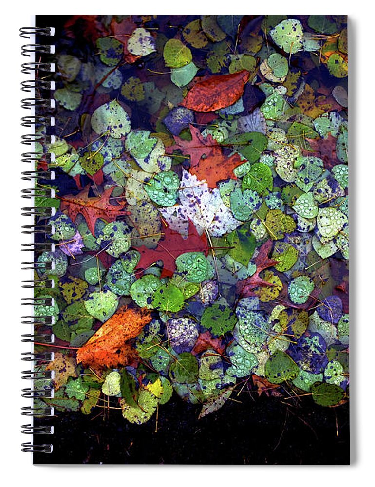 Aspen Spiral Notebook featuring the photograph Aspen Puddle by Wayne King
