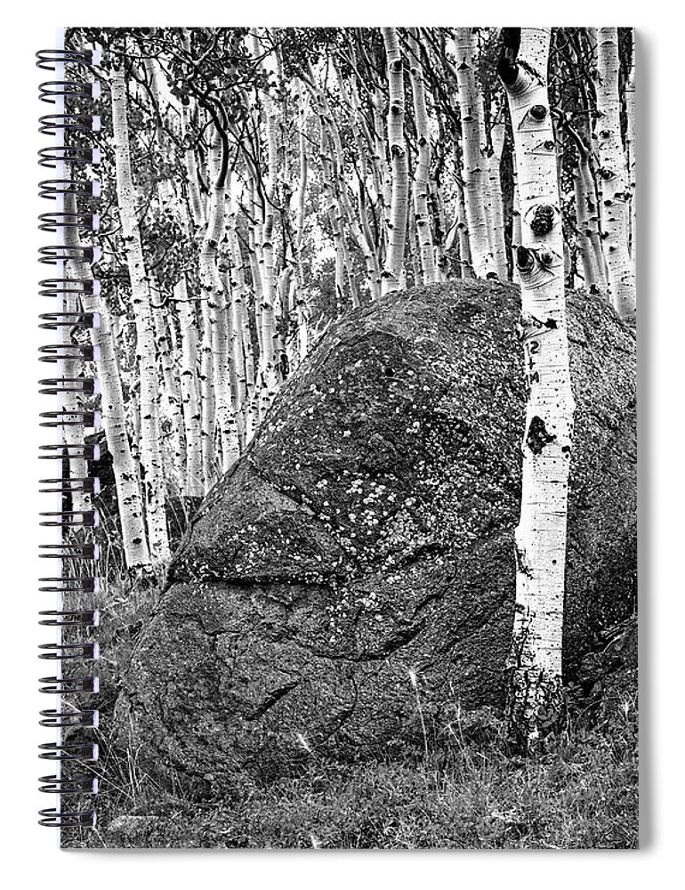 Aspens Spiral Notebook featuring the photograph Aspen Stand Boulder Utah X101 by Rich Franco