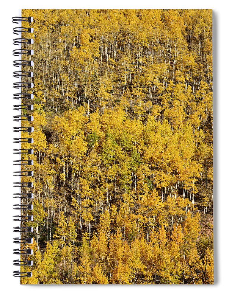 Aspen Spiral Notebook featuring the photograph Aspen Texture by Aaron Spong
