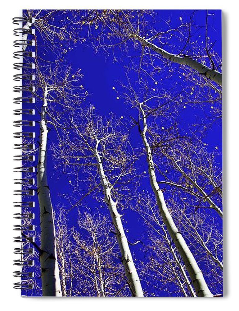  Spiral Notebook featuring the photograph Aspens by Dennis Richardson