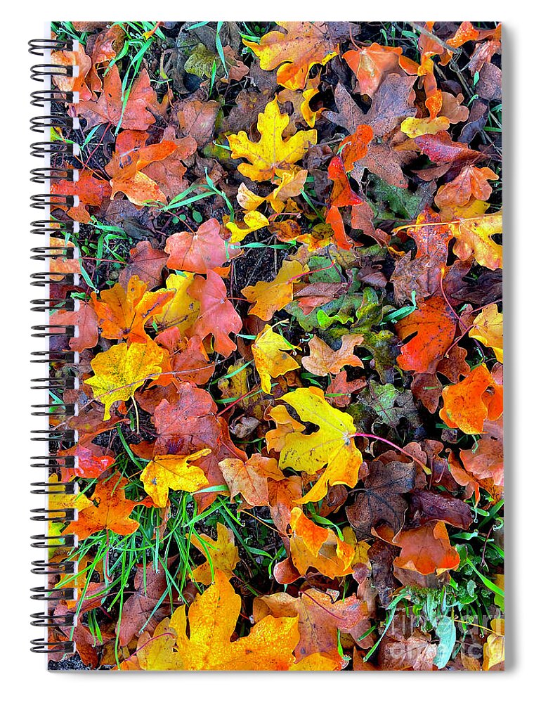 Fall Spiral Notebook featuring the photograph At the Feet of Fall by Maya Mey Aroyo