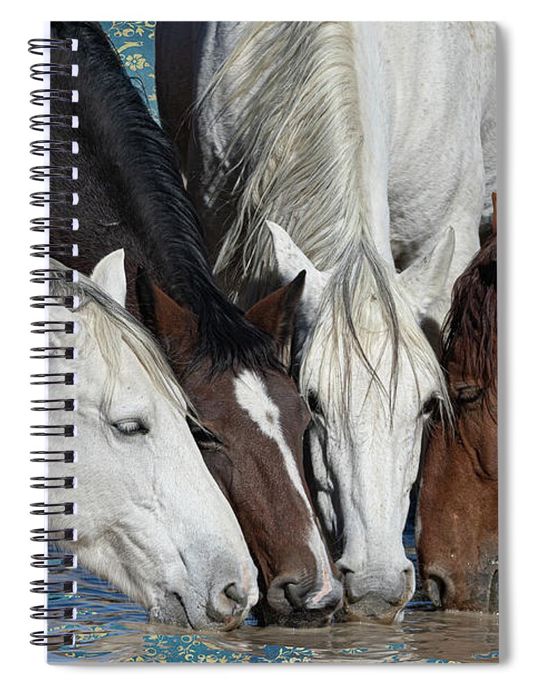 Wild Horses Spiral Notebook featuring the photograph At the Water Hole by Mary Hone