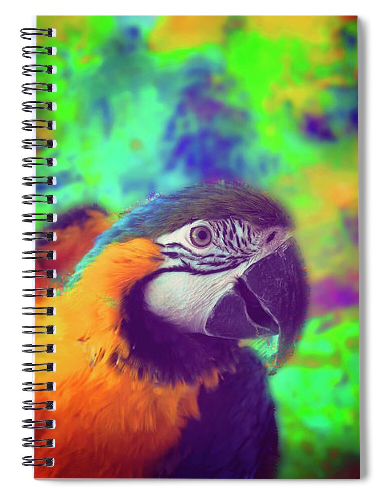 Bird Spiral Notebook featuring the photograph Attention Seeker by Toni Hopper