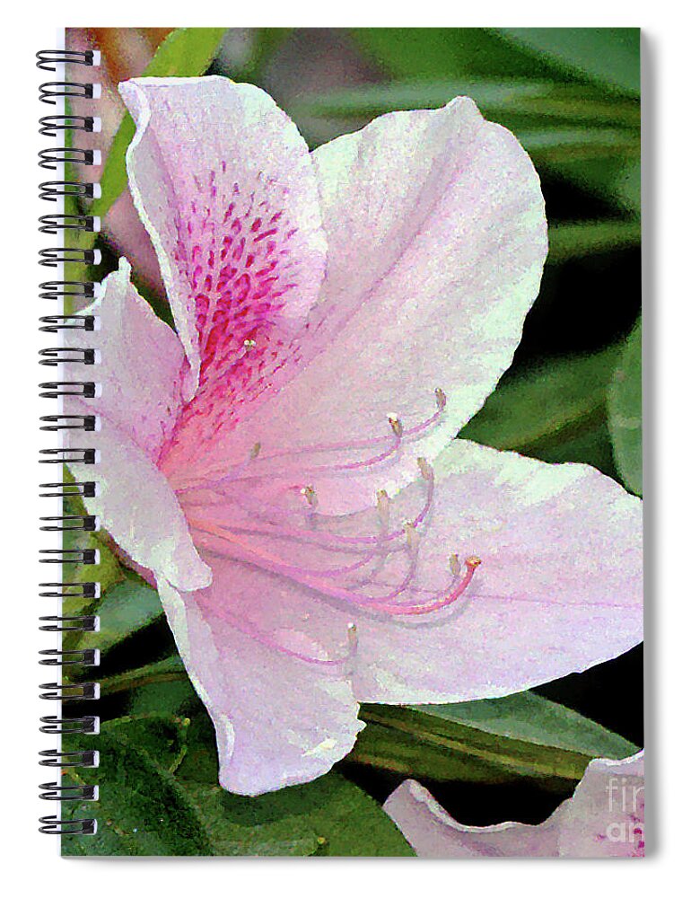 Azalea; Rhododendron; Flower; Augusta; Augusta National; Georgia; Pink; The Masters; Spiral Notebook featuring the photograph Augusta Azalea by Tina Uihlein