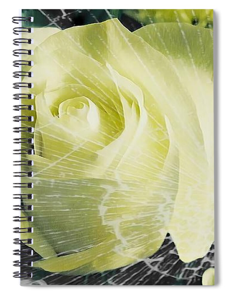 Rose Spiral Notebook featuring the photograph Aunt Edna's Rose by Rachel Hannah