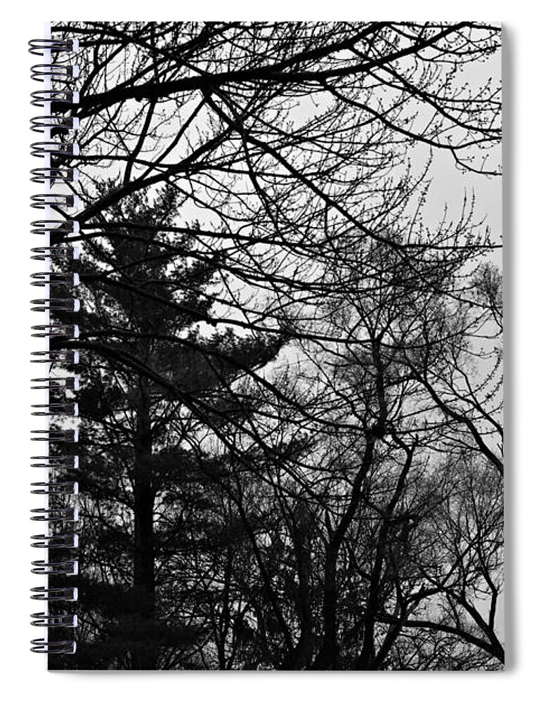 Landscape Spiral Notebook featuring the photograph Authentic Expression - Black and White by Frank J Casella