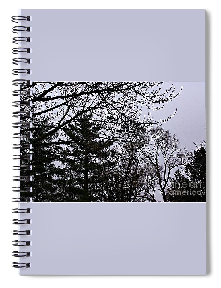 Landscape Spiral Notebook featuring the photograph Authentic Expression by Frank J Casella