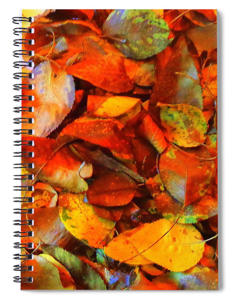 Autumn Ablaze Spiral Notebook featuring the photograph Autumn Ablaze by VIVA Anderson