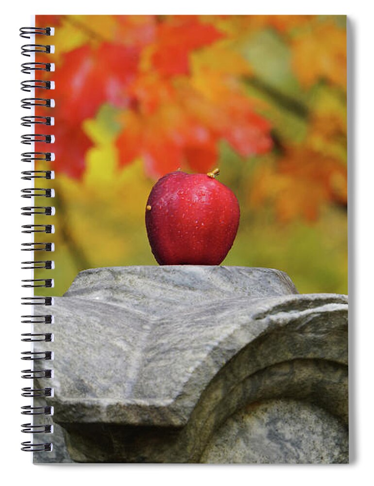 Autumn Apple Spiral Notebook featuring the photograph Autumn Apple by Rachel Cohen