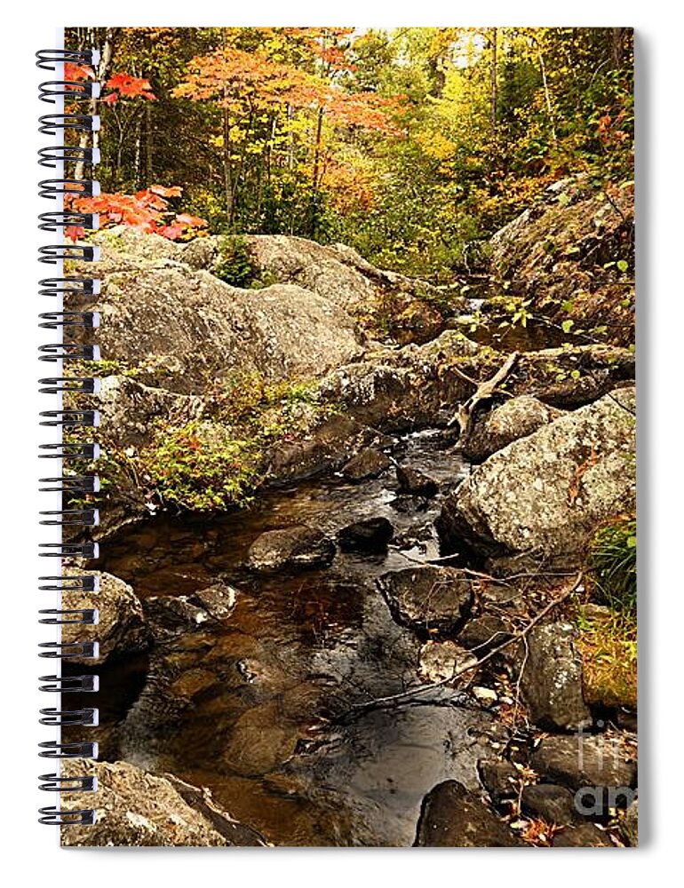 Landscape Spiral Notebook featuring the photograph Autumn at Dry Creek by Larry Ricker