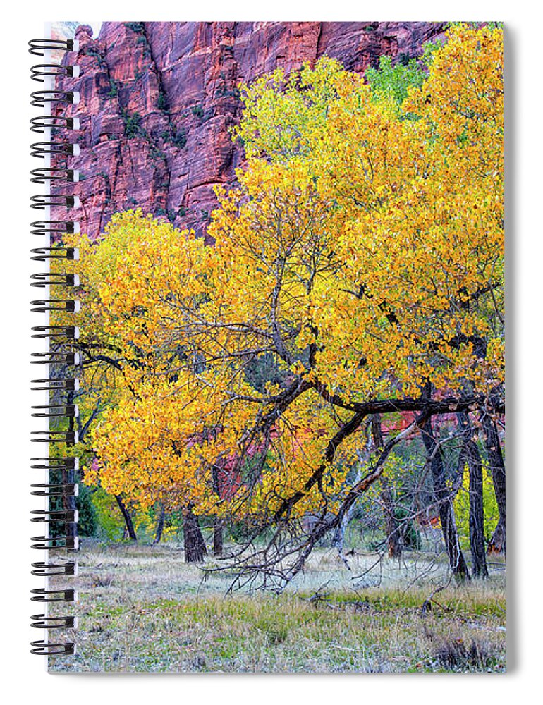 American Spiral Notebook featuring the photograph Autumn at the Grotto-Zion National Park by Andy Crawford