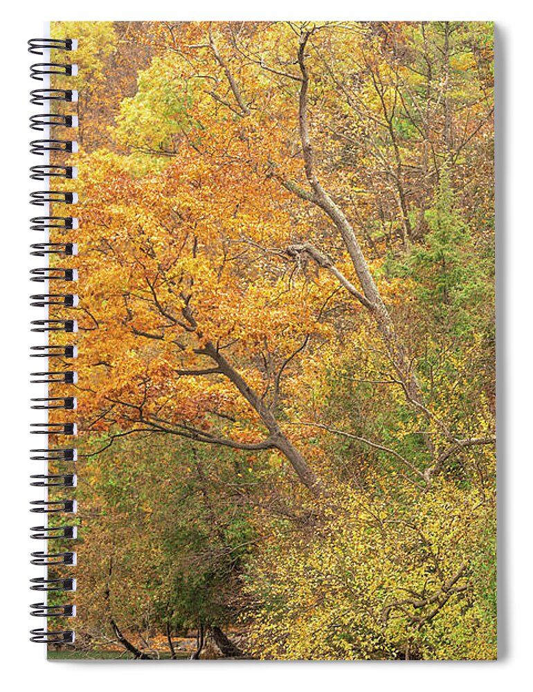 Fall Spiral Notebook featuring the photograph Autumn Bouquet by Rod Best