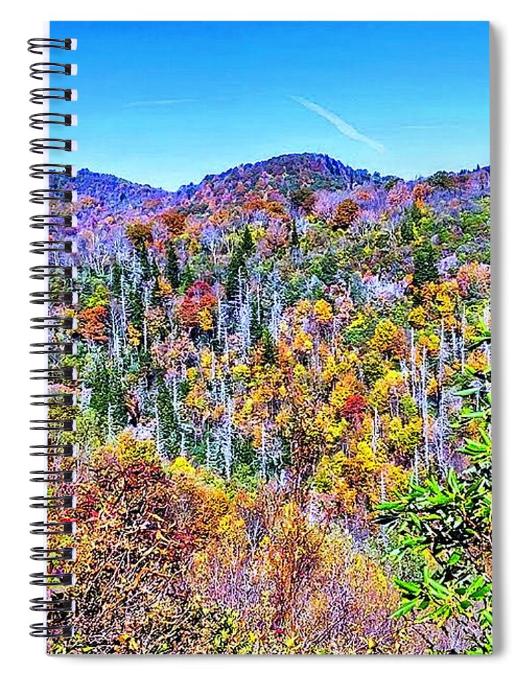 Autumn Spiral Notebook featuring the photograph Autumn Colors by Allen Nice-Webb