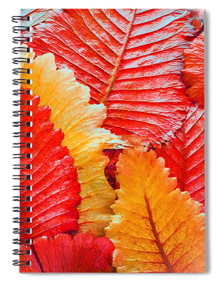Autumn Spiral Notebook featuring the mixed media Autumn Colours by Moira Law