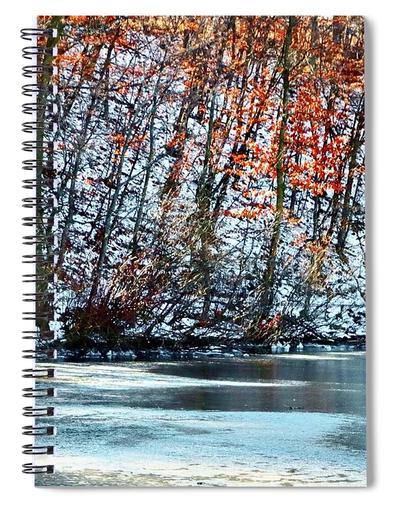Autumn Spiral Notebook featuring the photograph Autumn Dreaming by Sarah Lilja