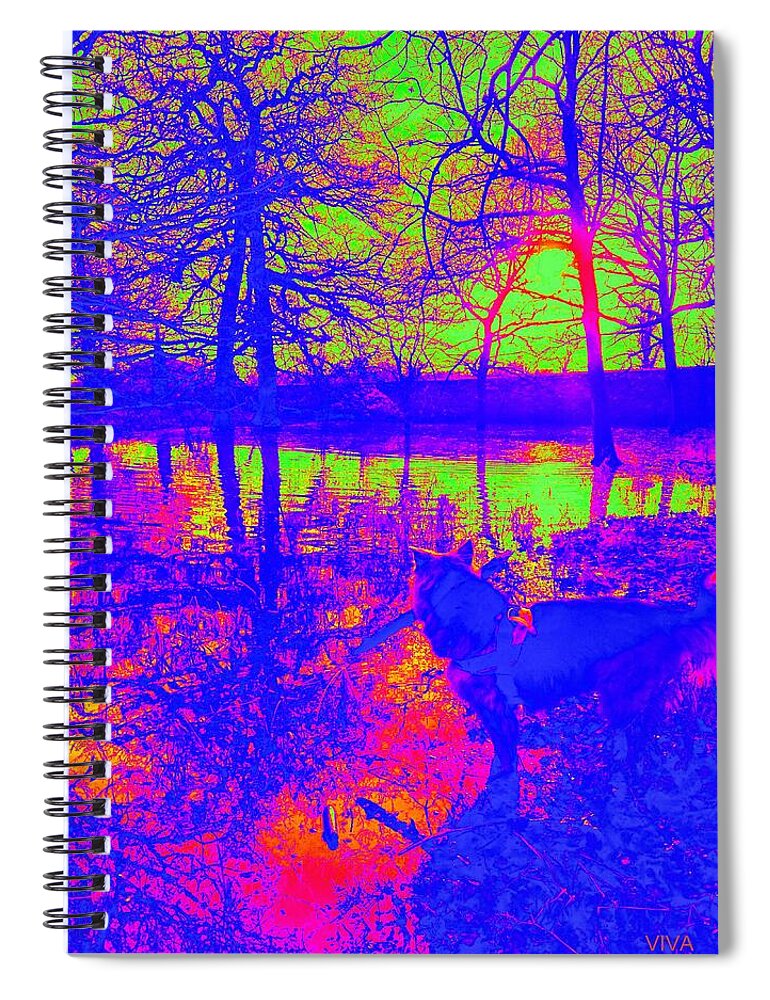 Landscape Spiral Notebook featuring the photograph Autumn Floods at Badgery Creek by VIVA Anderson