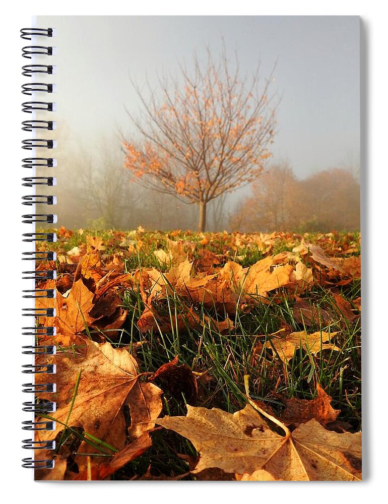 Autumn Spiral Notebook featuring the photograph Autumn Fog by Dark Whimsy