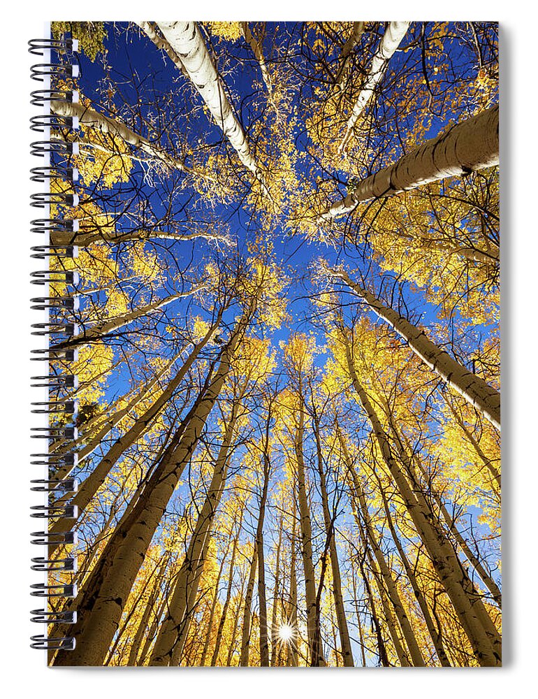 Art Spiral Notebook featuring the photograph Autumn Glory by Rick Furmanek