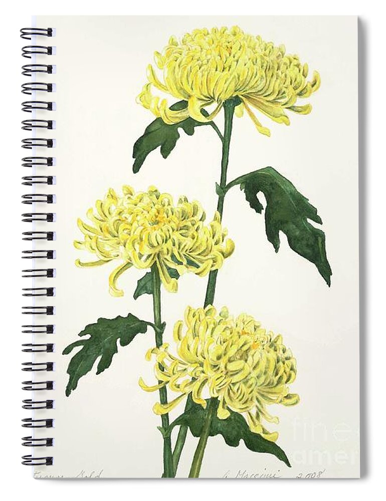 Yellow Spiral Notebook featuring the painting Autumn Gold by Albert Massimi