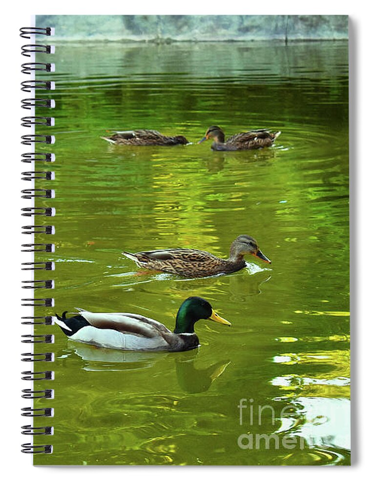 Nature Spiral Notebook featuring the photograph Autumn Harmony of Ducks Lake by Leonida Arte