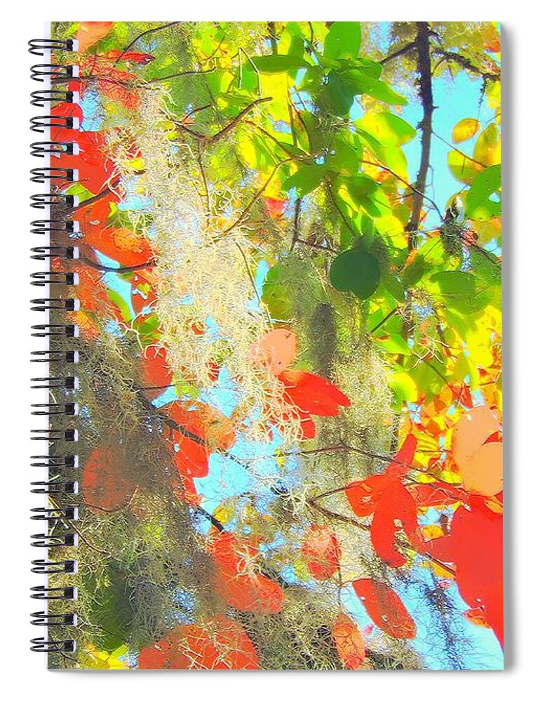 Autumn Spiral Notebook featuring the photograph Autumn In Dixie by Tami Quigley