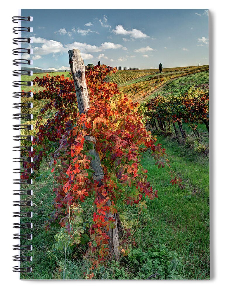 Agriculture Spiral Notebook featuring the photograph Autumn in the Vineyard by Eggers Photography