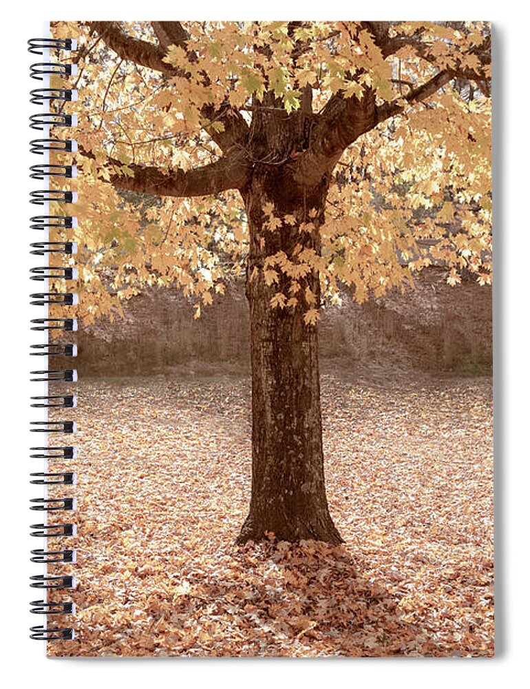 Carolina Spiral Notebook featuring the photograph Autumn is Country Golden by Debra and Dave Vanderlaan