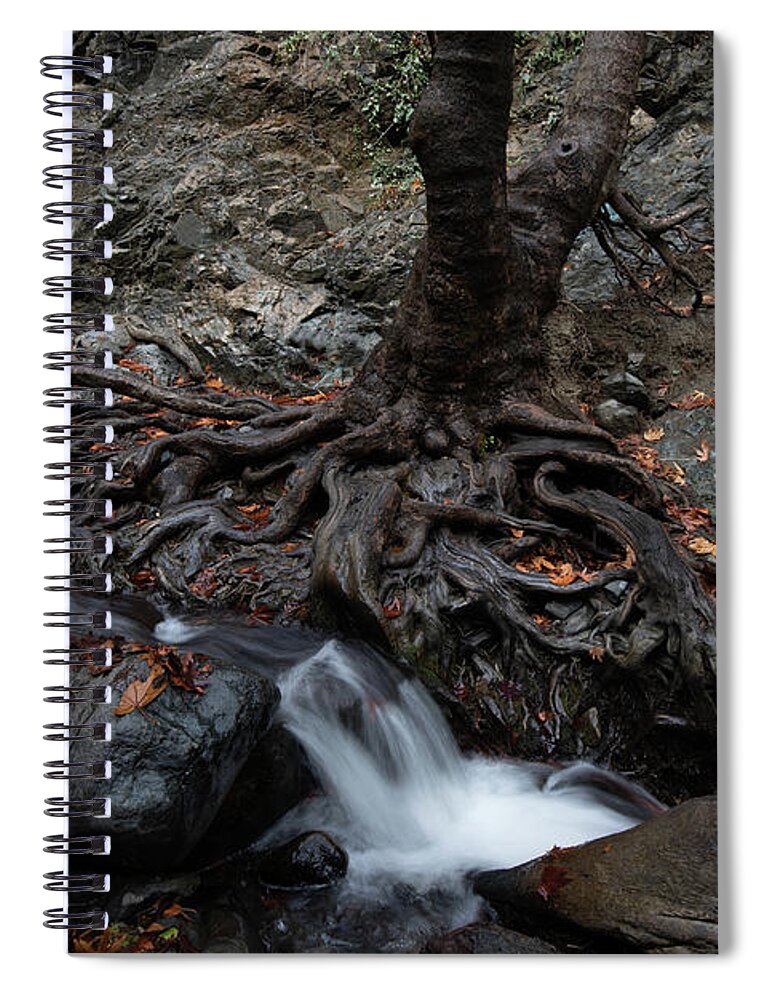 Autumn Spiral Notebook featuring the photograph Autumn landscape in the river by Michalakis Ppalis