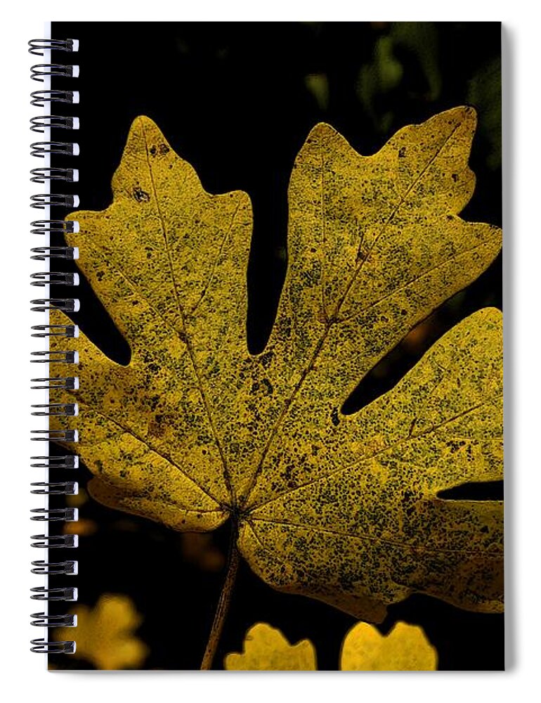 Digital Art Spiral Notebook featuring the photograph Autumn Leaves 25 by Jean Bernard Roussilhe